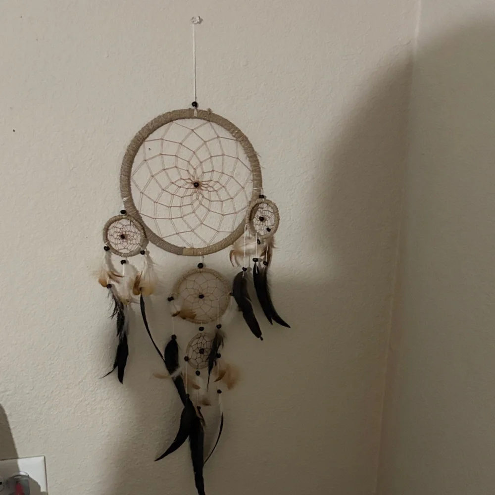 Neutral Beige and Black Dreamcatcher Wall Decor